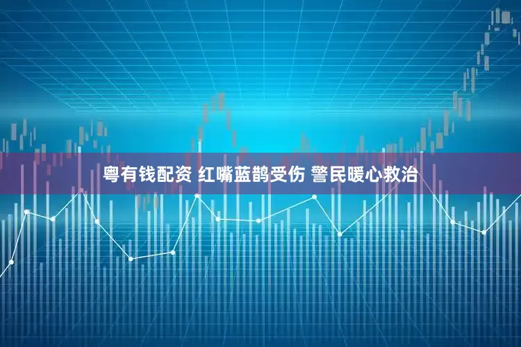 粤有钱配资 红嘴蓝鹊受伤 警民暖心救治