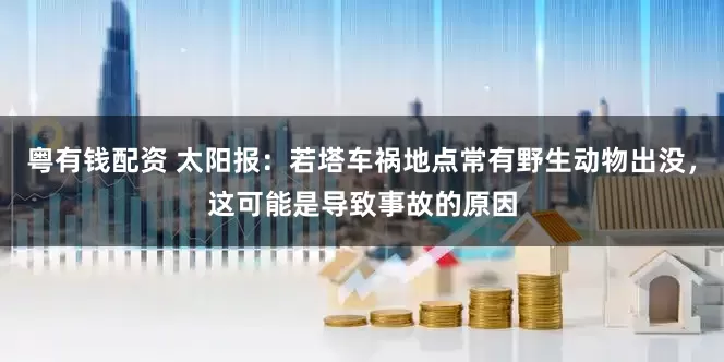 粤有钱配资 太阳报：若塔车祸地点常有野生动物出没，这可能是导致事故的原因
