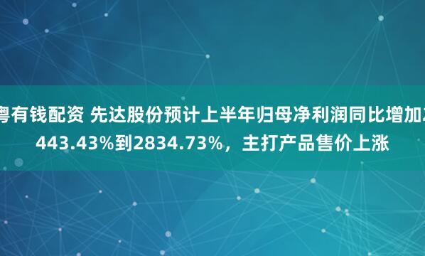 粤有钱配资 先达股份预计上半年归母净利润同比增加2443.43%到2834.73%，主打产品售价上涨