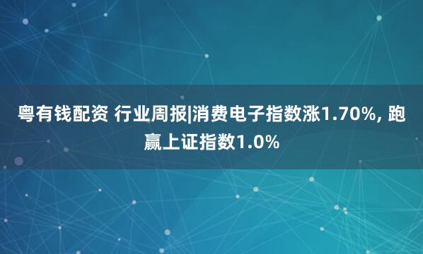粤有钱配资 行业周报|消费电子指数涨1.70%, 跑赢上证指数1.0%