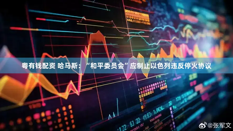 粤有钱配资 哈马斯：“和平委员会”应制止以色列违反停火协议
